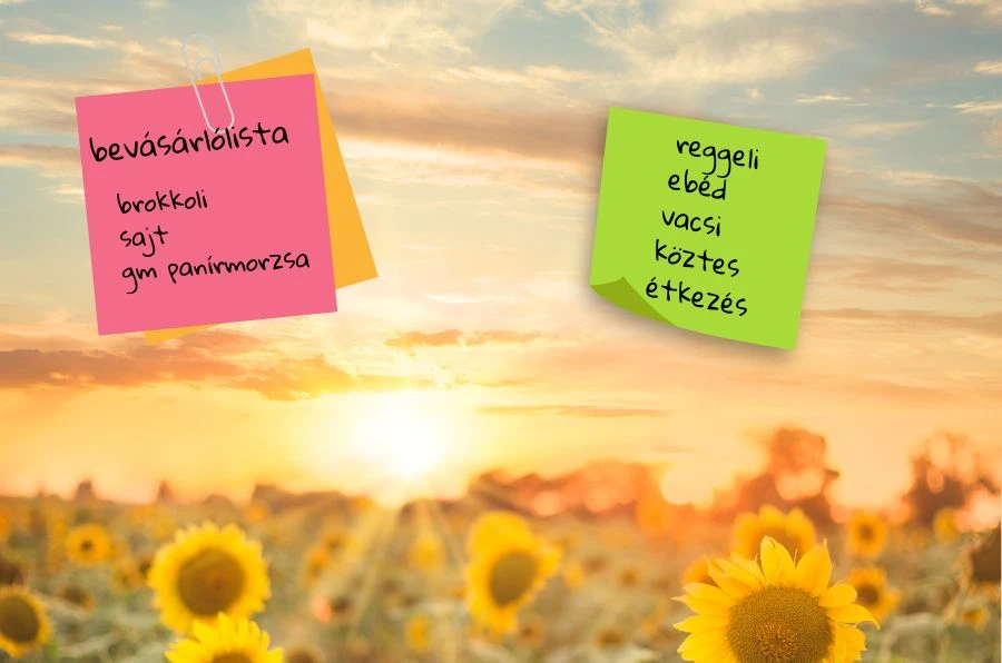 Alakítsd ki az új életed! kezdőkép