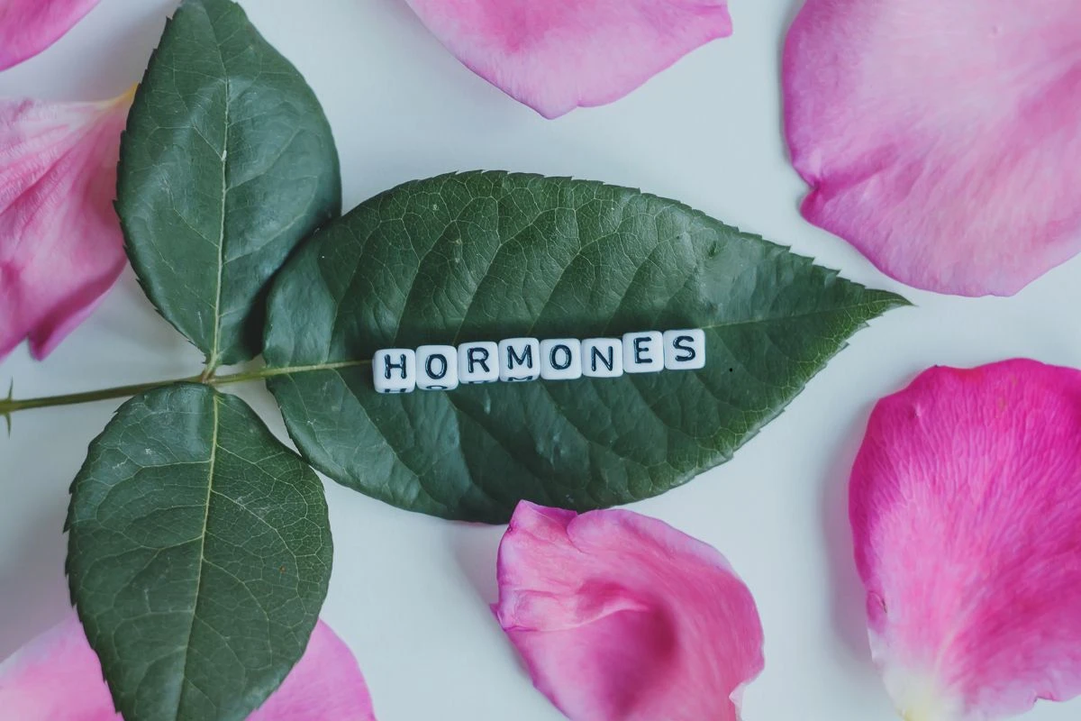 A női hormonok és a Hashimoto kezdőkép