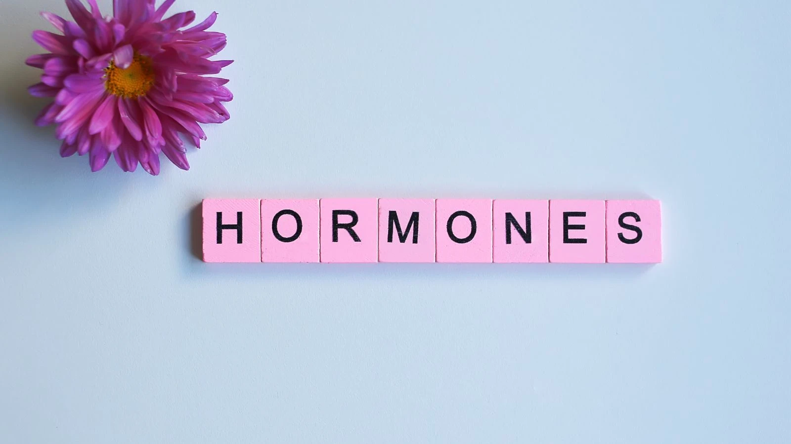 hormonegyensúly