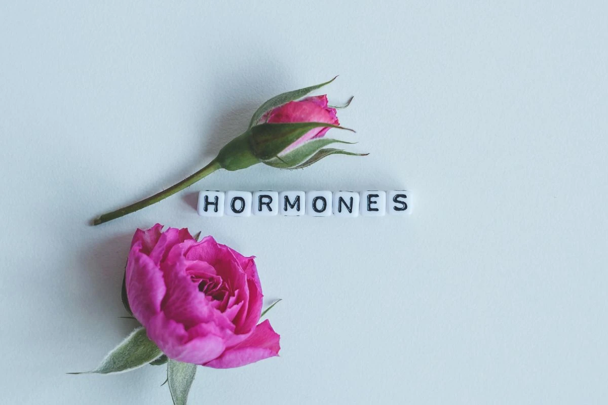 hormonális stressz kezdőkép