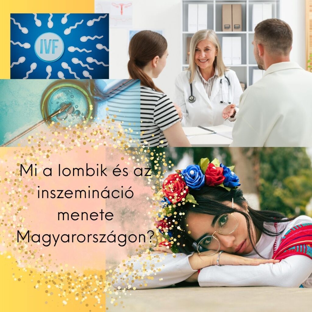 Lombik és inszemináció folyamata Magyarországon